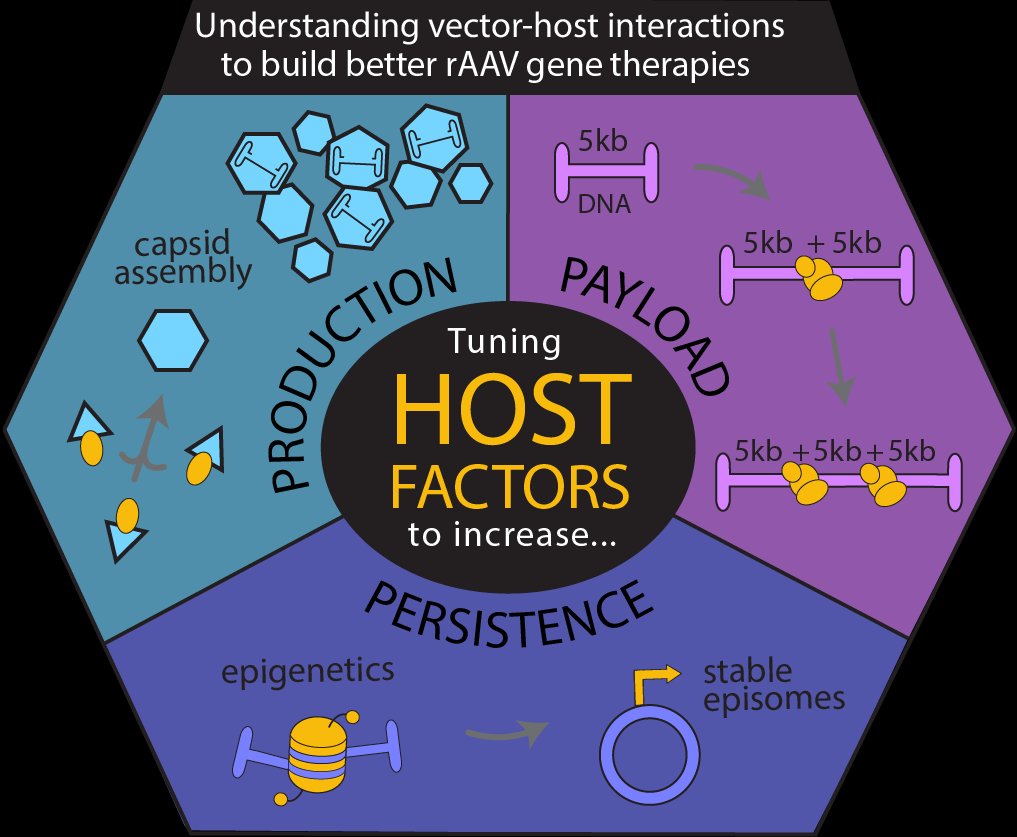 Host factors figure