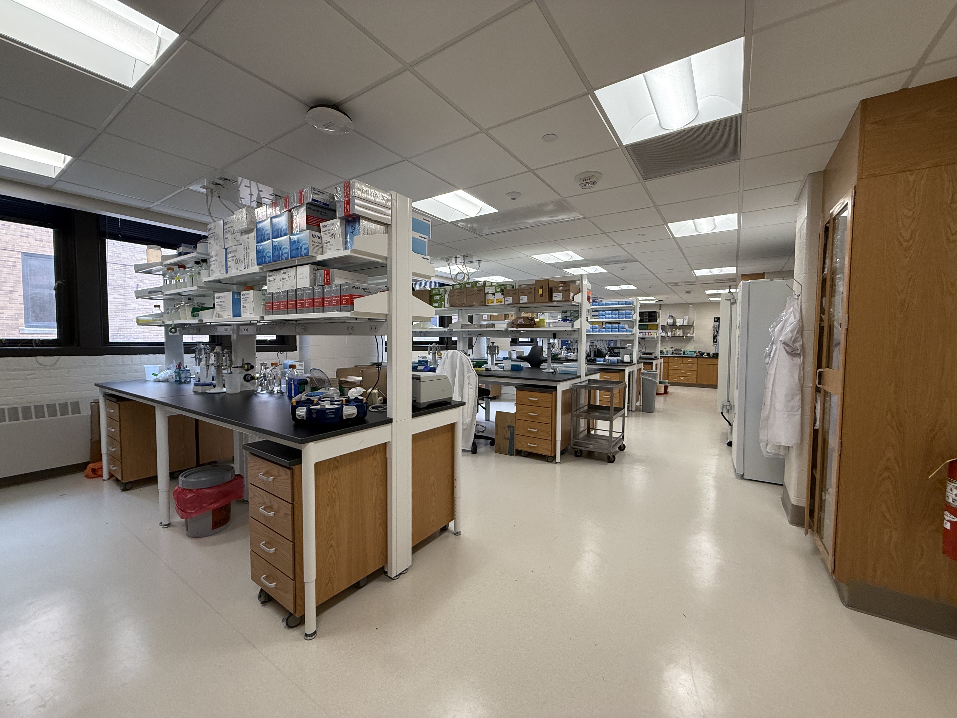 Lab overview